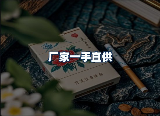 专业团队办公环境